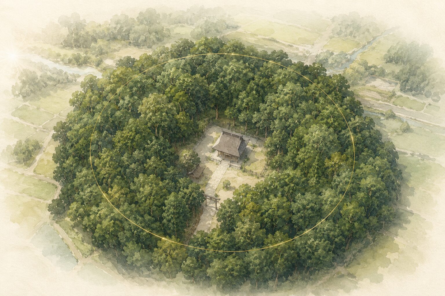 ivory washi 背景に painterly な日本の神社境内を上空から俯瞰した遠景、画面中央に小ぶりの本殿 1 棟が配置され、本殿を取り囲むように円形に鬱蒼とした常緑広葉樹の鎮守の森が広がる、森の外側には里山の田畑のうっすらしたシルエット、上空からの柔らかな朝光。神社と鎮守の森の関係を象徴