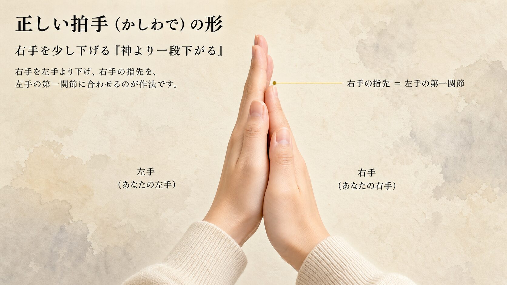 現代の参拝者の両手が胸前で拍手位置に合わさる瞬間のクローズアップ。右手の指先が左手の第一関節と揃う「神より一段下がる」謙譲の手位置を示す