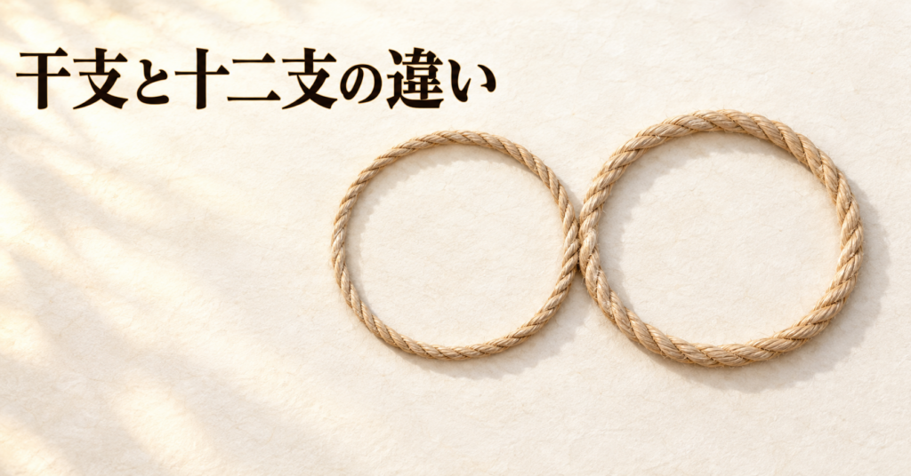 ivory washi 背景の painterly なアイキャッチ画像。画面右側に生成り色の無地の縄が2本置かれ、それぞれがゆるやかな輪をつくって1か所だけで重なり合っている。太さがわずかに違う2本はどちらも同じ明るさで、朝の斜光が縄の縁に薄い影を落とす。左上に「干支と十二支の違い」の横書きタイトル。